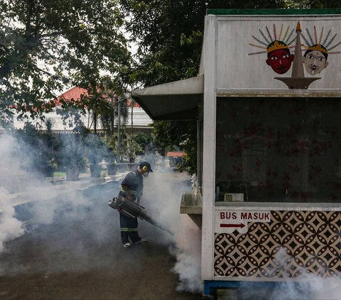 Gejala DBD Berubah pada Penyintas Covid-19, Sejauh Apa Bahayanya?