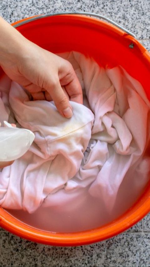 <b>Trik Bersihkan Noda di Kerah Baju Tanpa Disikat, Hanya Butuh 1 Bahan Dapur Saja</b>