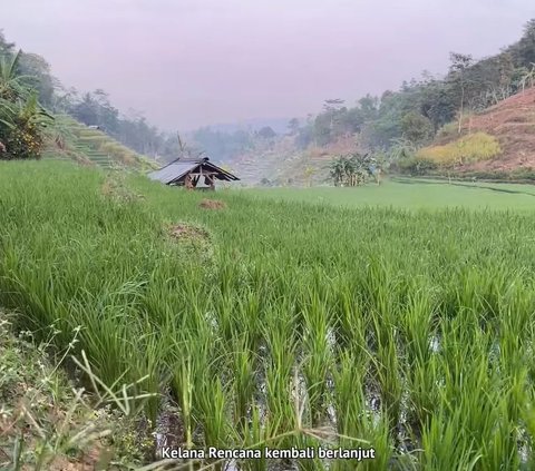 Definisi Healing Paket Komplet, Kolam Air Panas di Bandung Barat Ini Ada di Tengah Sawah Terasering Cantik