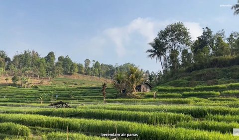 Waktu Terbaik adalah Pagi dan Sore