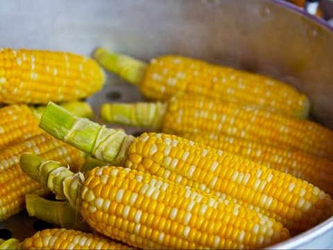 1. Jagung Ada Sejak 10.000 Tahun Lalu