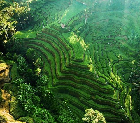 Mengenal Tri Hita Karana Kunci Hidup Bahagia ala Orang Bali, Berhubungan Baik dengan Tuhan, Sesama Manusia, dan Alam