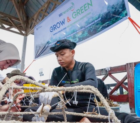 BRI Menanam Grow & Green Bantu Jaga Ekosistem Laut serta Kembangkan Potensi Wisata Daerah