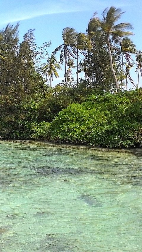 Mengunjungi Pulau Menjangan Kecil, Surga Bawah Laut di Kepulauan Karimunjawa