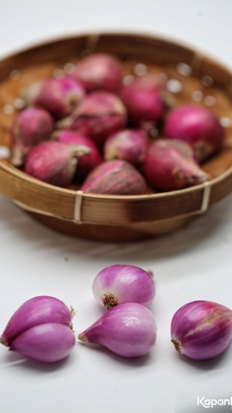 Cara Mudah Cegah Ular Masuk Rumah, Cuma Pakai Bahan Masak