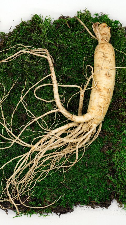 <b>8 Manfaat Ginseng untuk Rambut, Bantu Atasi Ketombe</b>