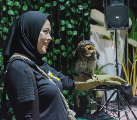 Summarecon Mall Bekasi Gelar Planimals Exhibition dan Zoonimals, Bawa Mini Kebun Binatang di Dalam Mall