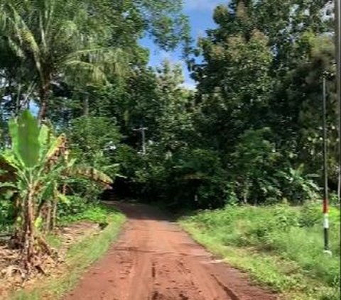 Saat Terjatuh, Sebagian Besar Pemotor Membunyikan Klakson