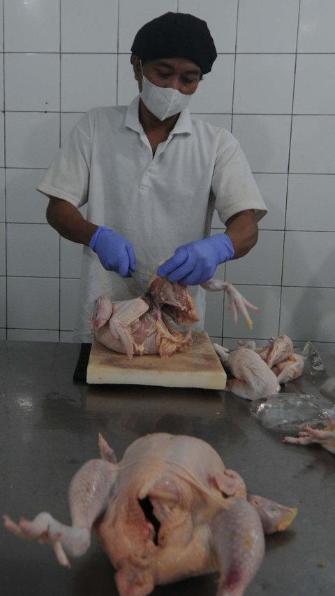 FOTO: Kunjungi Rumah Ayam Potong, Mendag Zulhas: 