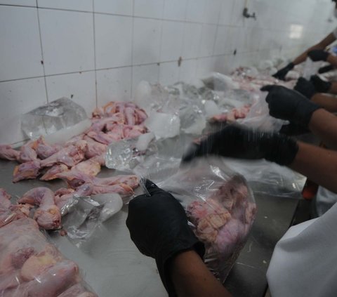FOTO: Kunjungi Rumah Ayam Potong, Mendag Zulhas: 