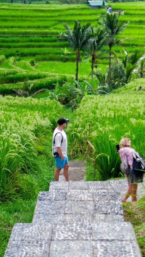 Suhu Panas Landa Indonesia, Mendag Putar Otak Cari Cara agar Harga Pangan Tak Meroket