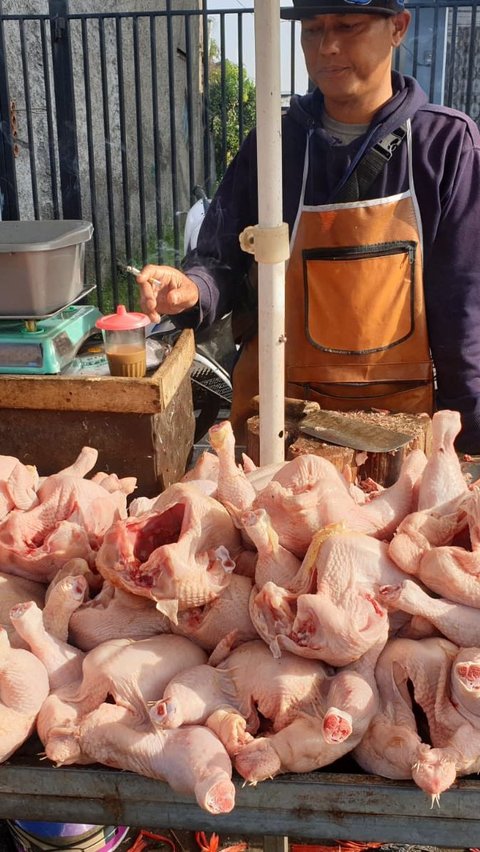 Pedagang Ayam Skala Kecil Wajib Punya Sertifikat Halal Mulai Oktober 2024, Begini Cara Mudah Mengurusnya
