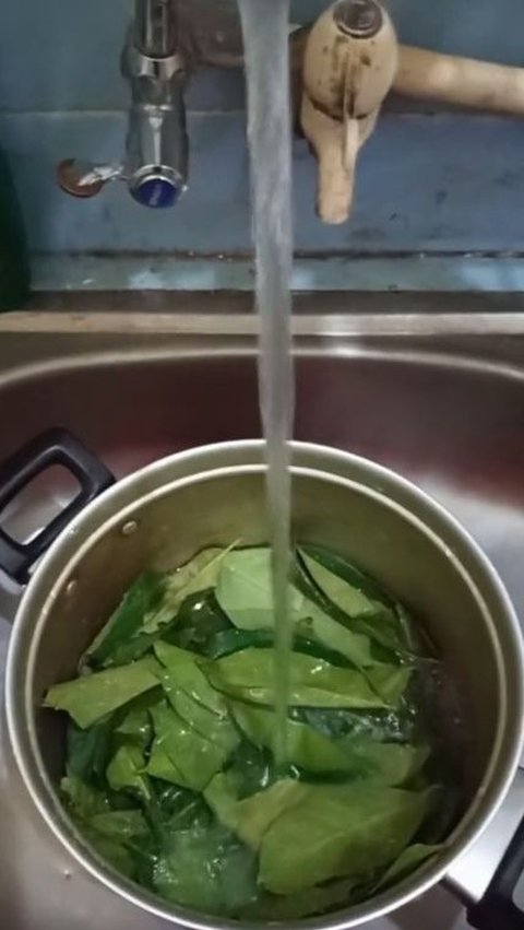 Cuci Daun Salam