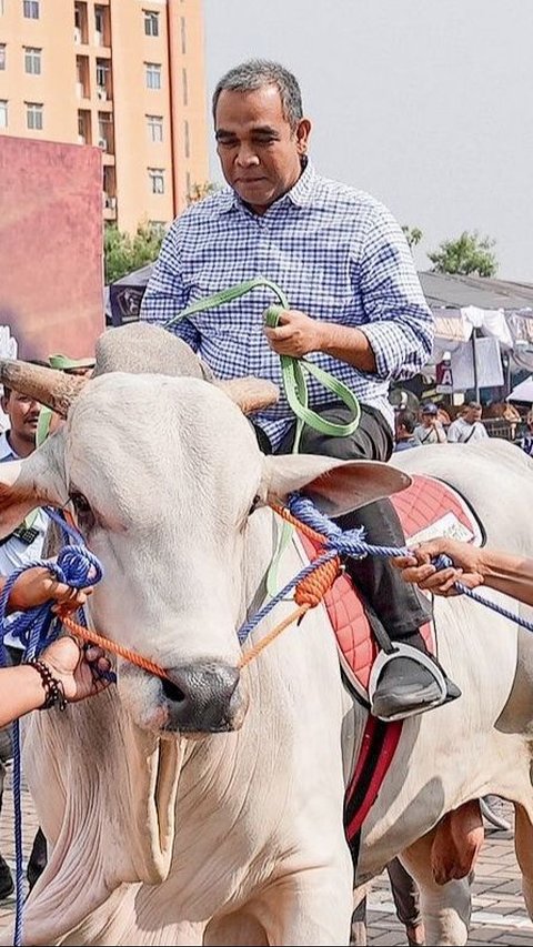 Sekjen Gerindra Ahmad Muzani Lelang Sapinya, Hasilnya Bakal Disumbangkan ke Palestina