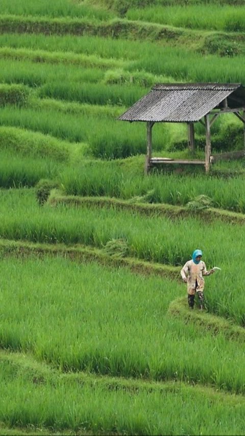 1.	Negara Terbesar di Asia Tenggara