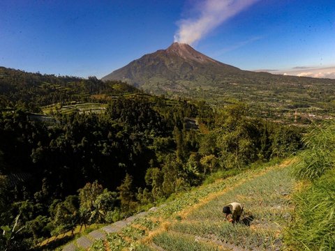 FOTO: Potret Warga Dusun Tempel dan Dusun Bentrokan Hidup di Dataran Tinggi dengan Kemiringan Mendebarkan