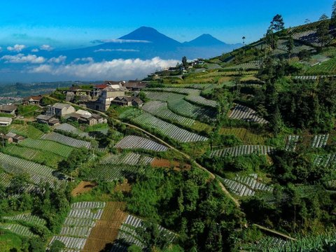 FOTO: Potret Warga Dusun Tempel dan Dusun Bentrokan Hidup di Dataran Tinggi dengan Kemiringan Mendebarkan