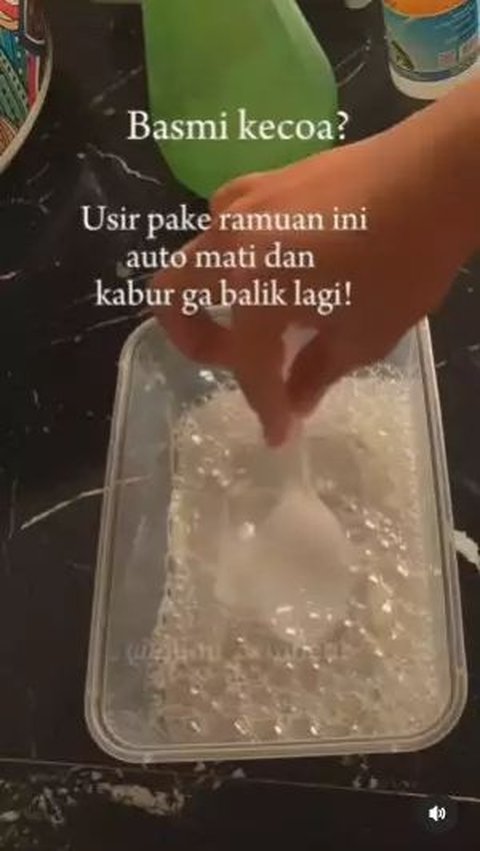 Trik Agar Kamar Mandi Bebas Kecoak, Hanya Butuh 2 Bahan Dapur