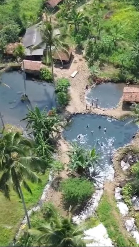 Ada Kolam Alami di Tengah Sawah Subang, Air Jernihnya Curi Perhatian