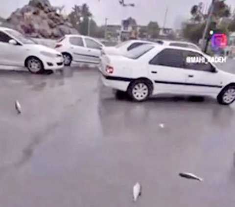 Sensational Video of the 'Fish Rain' Phenomenon: Falling from the Sky, Flopping on the Highway