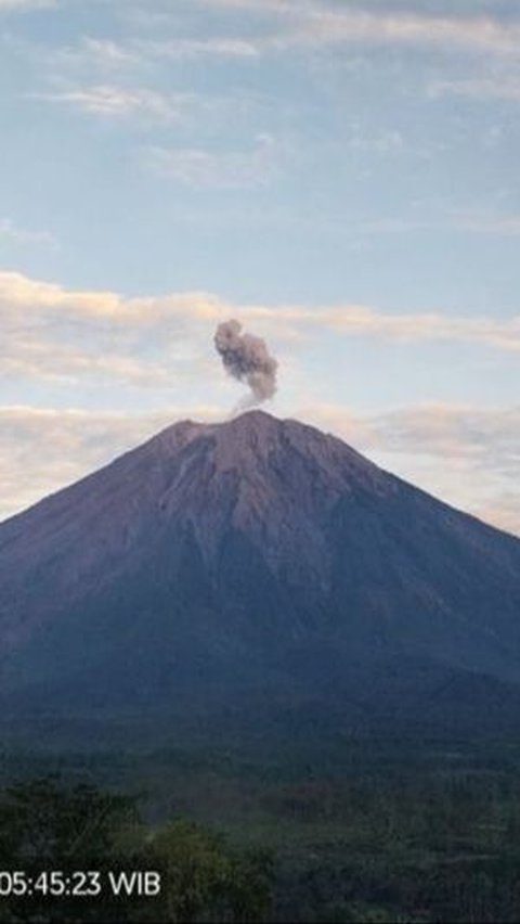 Gunung Semeru Kembali Erupsi, Letusan Mencapai 800 Meter