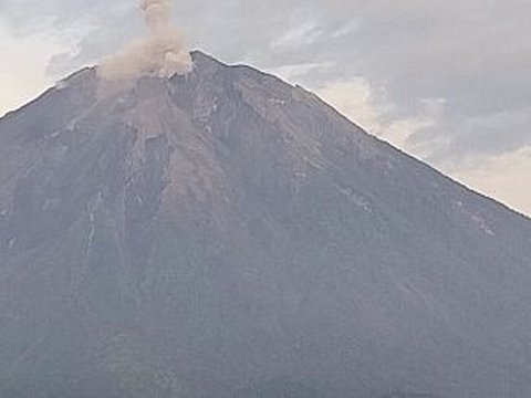 Gunung Semeru Kembali Erupsi, Letusan Mencapai 800 Meter