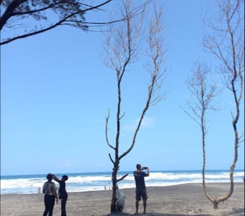 “Pantai Cemara Cipanglay jadi salah satu tujuan wisata yang cukup ramai di Cianjur. Panorama alamnya yang ciamik membuat tempat ini bak primadona, apalagi pohon-pohon cemara yang berjajar menambah keindahannya,” tulis keterangan di laman Instagram Disbudpar Cianjur
