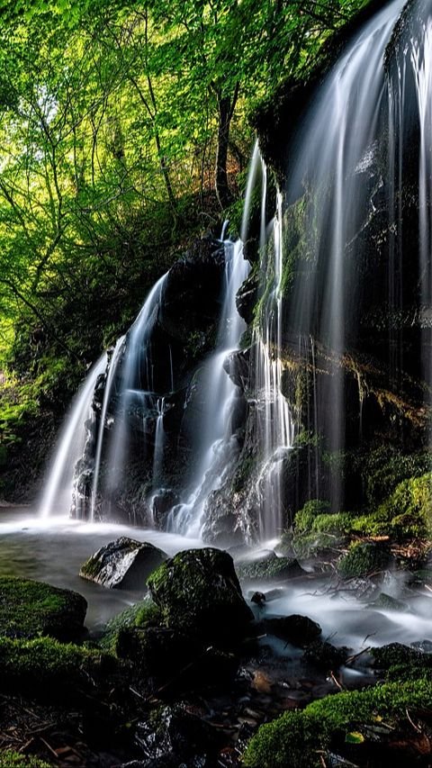 4 Tempat Wisata Puncak Bogor, Cocok untuk Destinasi Liburan Keluarga