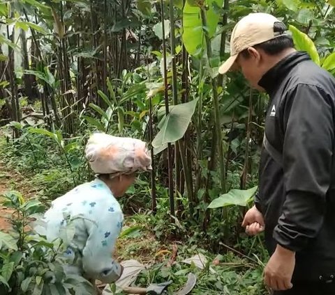 Kehidupan nenek yang disapa emak Ebah Ini, dipanggil emak oleh Eri. Dalam konten tersebut, ia terlihat sedang mengarit untuk pakan kambing.<br>