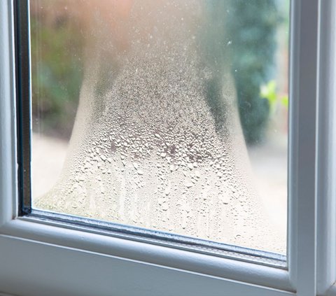 3 Steps to Control Humidity at Home to Avoid Hazards