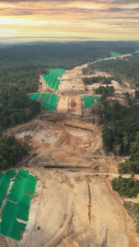 Kejar Target Jadi Kota Netral Karbon, Lahan Eks Tambang di Kawasan IKN Ditanami 1.600 Bibit Pohon