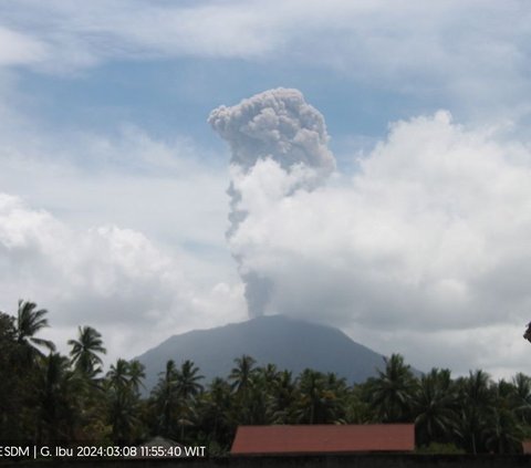 Gunung Ibu di Halmahera Erupsi, Semburkan Abu Setinggi 2.000 Meter