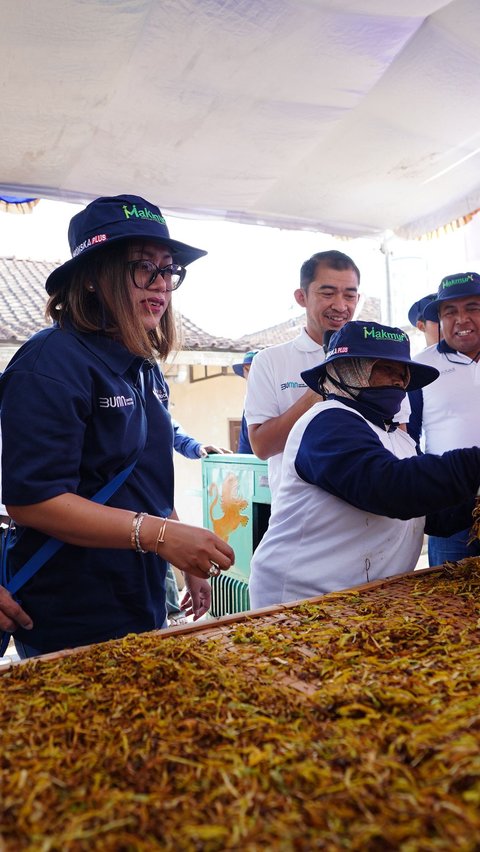 Ini Beda Kretek Tingwe dengan Kretek Pabrikan