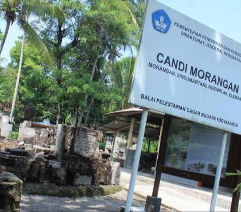 Diduga Runtuh Akibat Aktivitas Gunung Merapi, Ini Fakta Unik Candi Morangan di Sleman