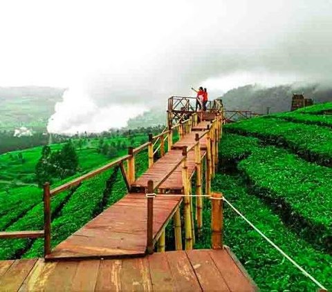 11 Tempat Wisata Pangalengan, Penuh dengan Panorama Alam Memukau