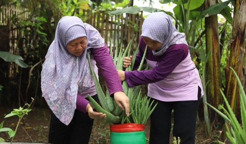 Warga Tergerak untuk Melakukan Penghijauan