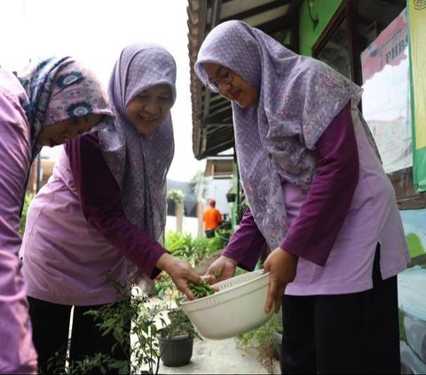 Kisah Emak-Emak di Nusa Jaya Tangerang Tanam Sayur di Lahan Kosong, Bantu Pangan Warga di Tengah Mahalnya Bahan Pokok