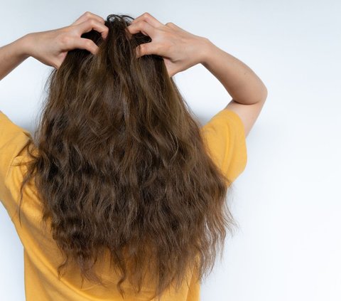 Dull and Rough Hair? Try Using 5 Masks Made from Natural Ingredients