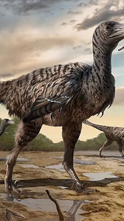 Fujianipus, yang ukurannya jauh melampaui rata-rata velociraptor, yang umumnya tidak lebih dari enam kaki panjangnya dan beratnya kurang dari 100 pon.