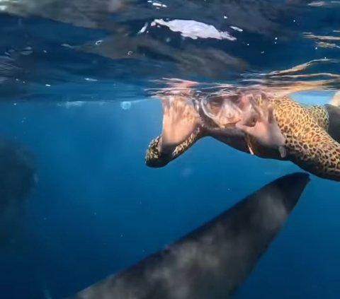 Momen Menegangkan Baim Wong saat Snorkeling di Sumbawa, Nyaris 'Tersenggol' Sirip Ikan Paus Besar