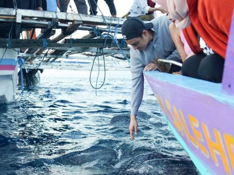 Momen Menegangkan Baim Wong saat Snorkeling di Sumbawa, Nyaris 'Tersenggol' Sirip Ikan Paus Besar