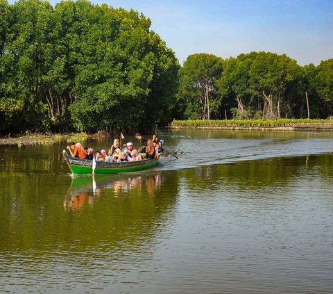 FOTO: Destinasi Wisata Mangrove di Sunge Jingkem Bisa Jadi Pilihan Mengisi Libur Lebaran, Keindahan Alamnya Bisa Bikin Mata Susah Berkedip