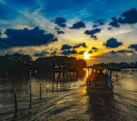 FOTO: Destinasi Wisata Mangrove di Sunge Jingkem Bisa Jadi Pilihan Mengisi Libur Lebaran, Keindahan Alamnya Bisa Bikin Mata Susah Berkedip