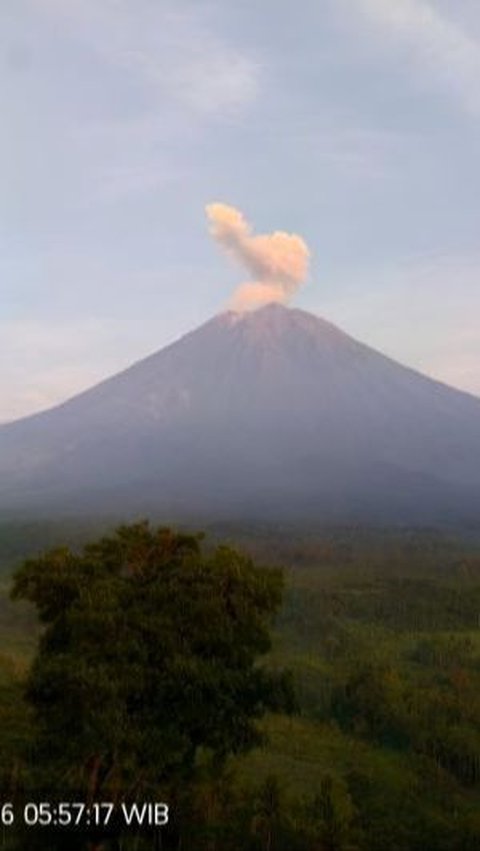 Gunung Semeru Erupsi Disertai Guguran Lava Pijar