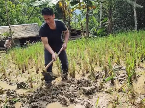 Anak Sukses jadi Penyanyi & Kaya Raya, Sang Ayah Tak Gengsi Nyangkul di Sawah