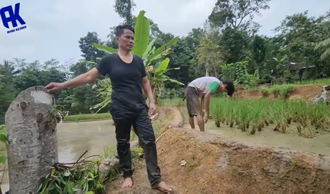 Ayah Lesti bersama kerabat baru selesai membajak beberapa petak sawah. Seperti diketahui, keluarga Lesti Kejora memiliki sawah yang cukup luas di Cianjur.<br>