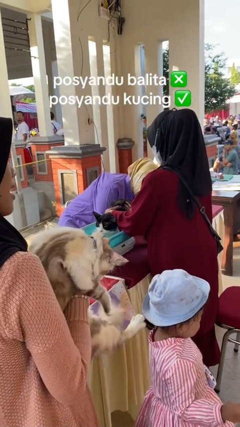 Viral Posyandu Kucing di Lamongan, Fasilitas Lengkap Ada Timbangan hingga Petugas Khusus