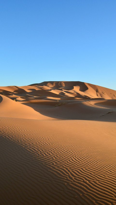 1. Ada Salju di Gurun Sahara <br>