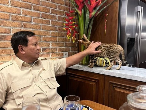 Prabowo's Relaxing Moment with Leopard Patterned Cat, Netizens: Bobby Crying in the Corner