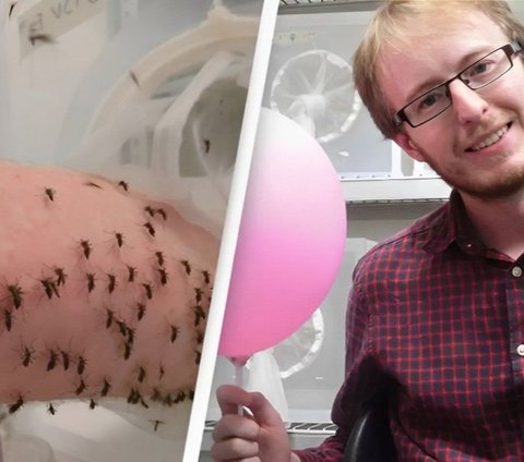 This Man Is Willing to be Bitten by Thousands of Mosquitoes Every Day, Turns Out This is the Reason